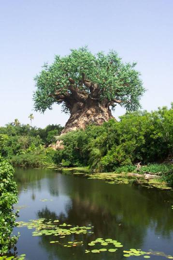 carvedtreeinlimpopo1