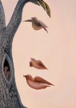 birdsorface1a