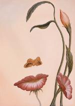 butterflyorface1a