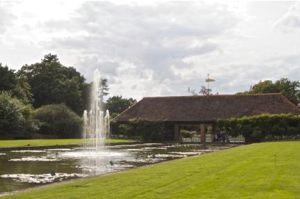wisleyponda