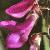 hedysarumhedysaoidesflot9