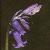 hyacinthoidesflotnonscripta