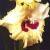 gladioluscfloleahcarolynnagc1a1