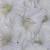 gladioluscfloperthpearlncoe1a1