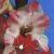 gladioluscflorosyposynagc1a