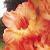gladioluscflodreamonnagc1a1