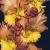 gladioluscfloenchantednagc1a