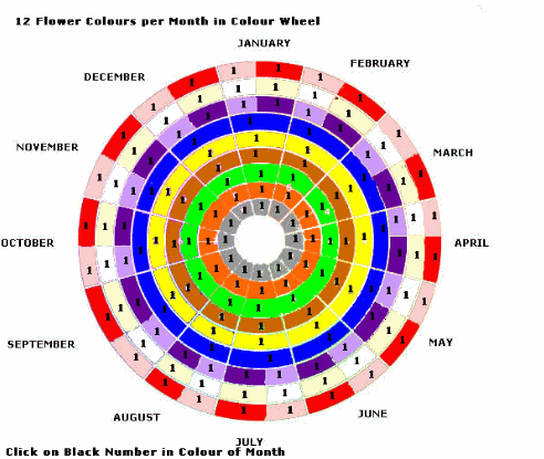 bloomsmonth2a2a1