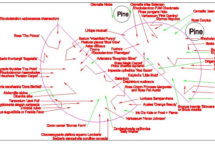 Home Front Garden Planting Plan