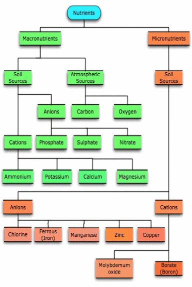 soil17