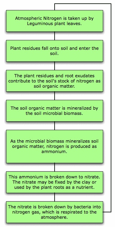 soil19