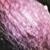 arisarumfloproboscideum1