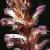 commoncflobroomrape1