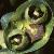 euphorbiaflotcharacias1