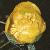 fyellowflotwaterlily1