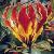 gloriosacflosuperbaroseland1a1