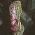 pitchercfloplant1