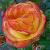 rosavoiceofthousandscflorogerltd1