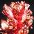 thymecflobroomrape1