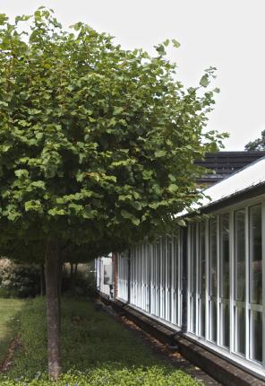 ShadeTreesatWisley2a1