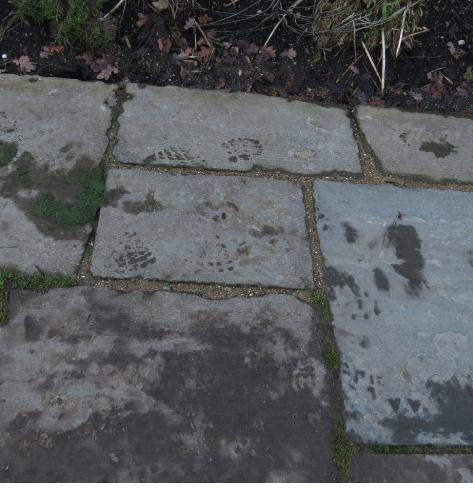 mixedbedtrialpath1a