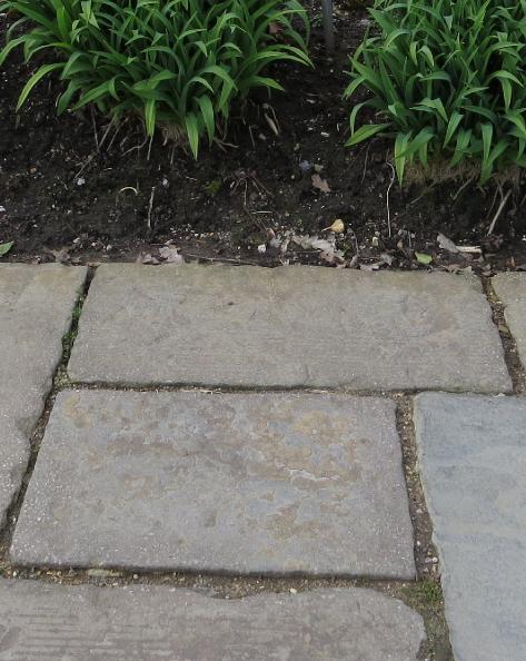 mixedbedtrialpath2a