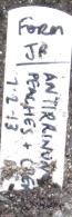 antirrhinumblabelpeachesandcreamgarnonswilliams