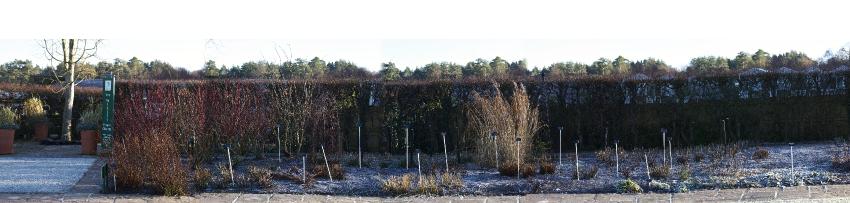 eastsec2and3part7winter2kavanagh