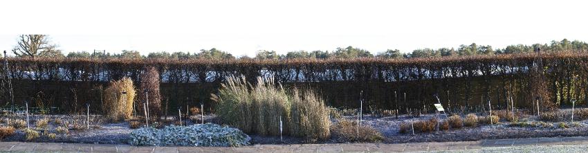 eastsec2part5winter2kavanagh