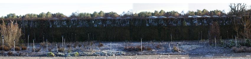 eastsec3part8winter2kavanagh