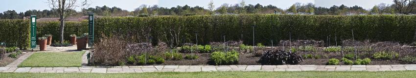 eastsec7springkavanagh1