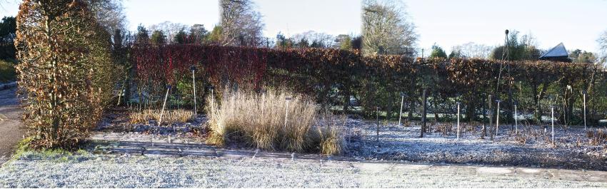 westsec1winter2kavanagh