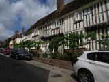 nIMG7184indexchilhampleachedtreesgarnonswilliams