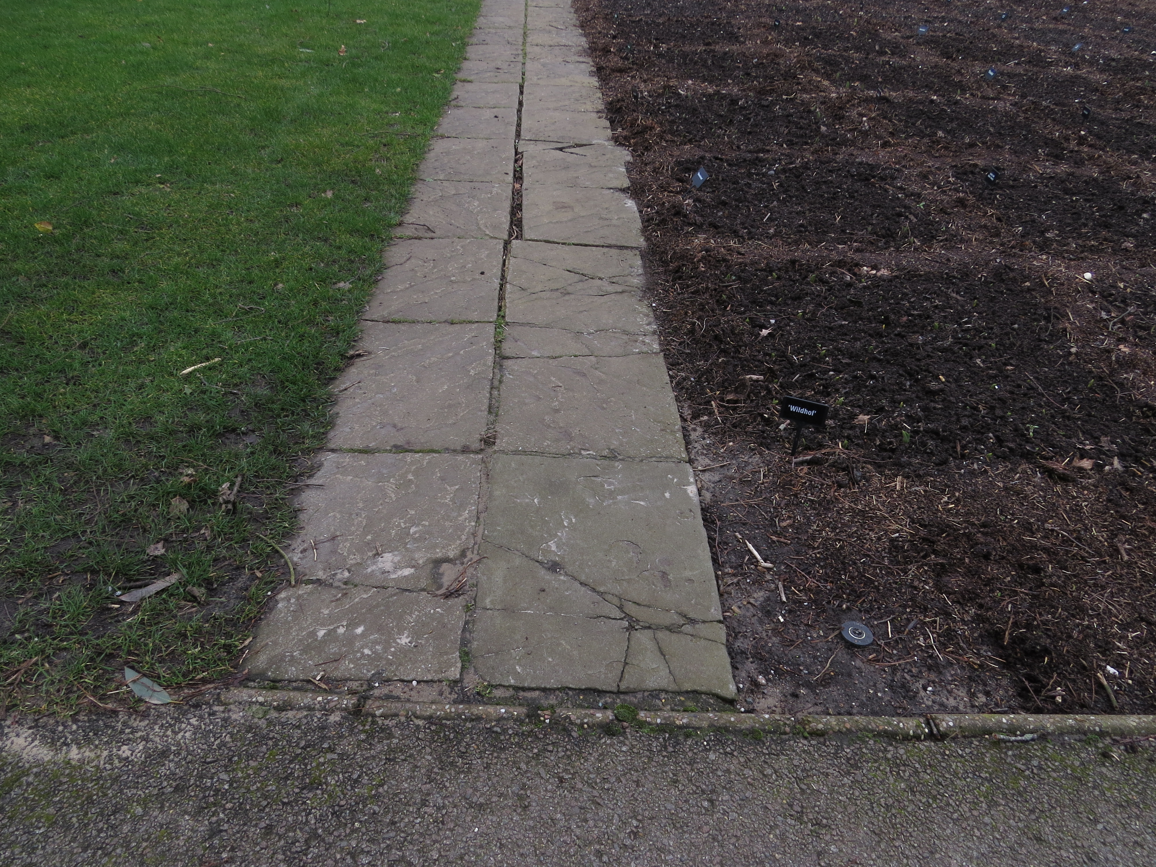 brokenpathbytuliptrialIMG3175