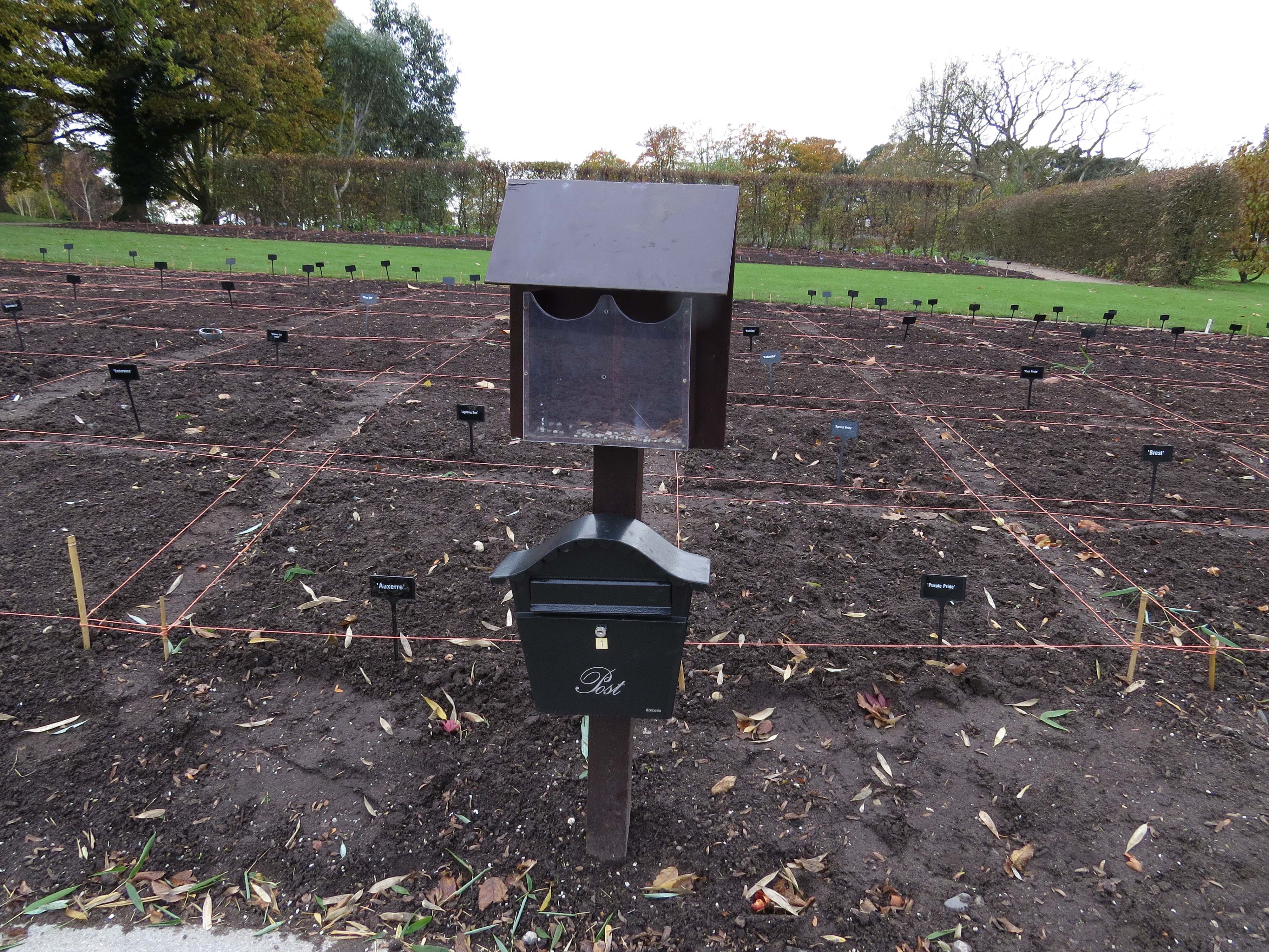 entryslipsandpostboxfortuliptrialsbedIMG2478