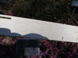 nameiswrongcallunavulgariscorrieswhiteIMG4524a