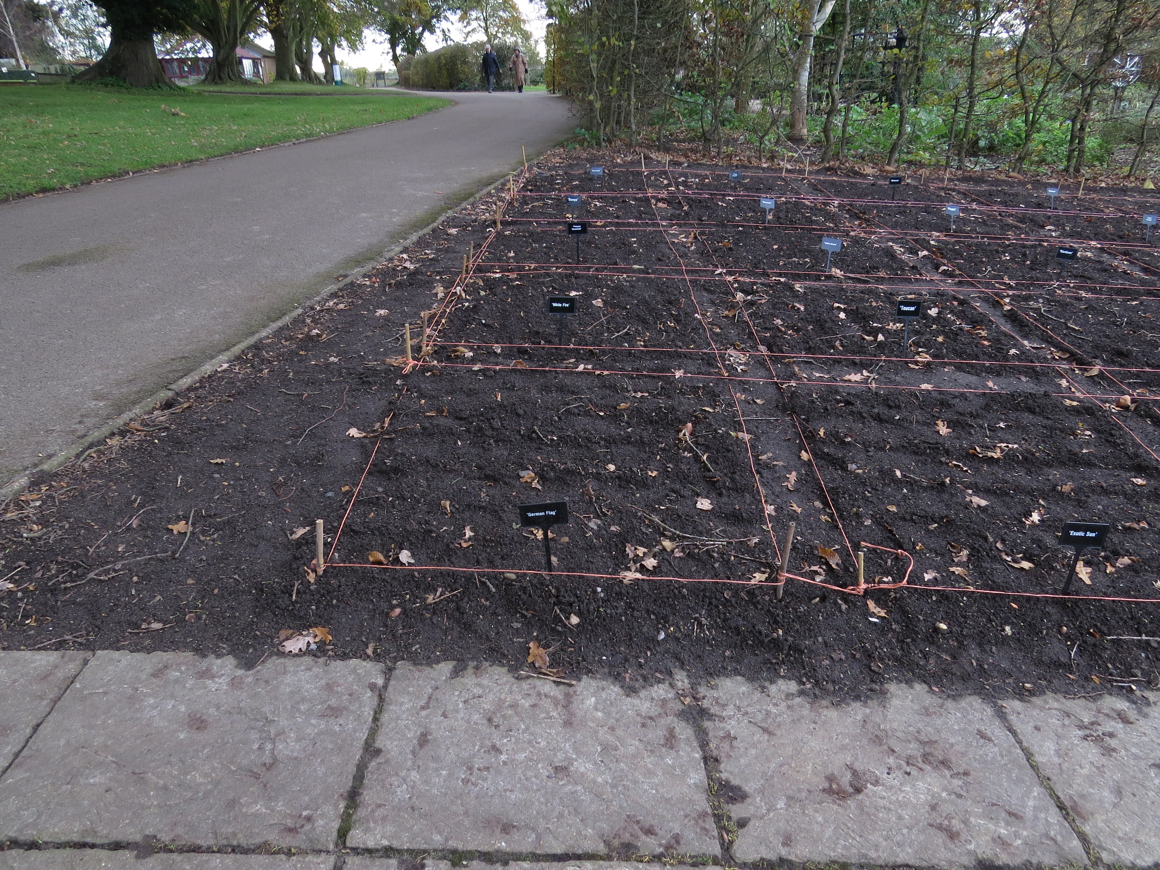 viewoftuliptrialsbedIMG2471