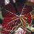 cfagusfol1sylvaticaatropurpurea1a1
