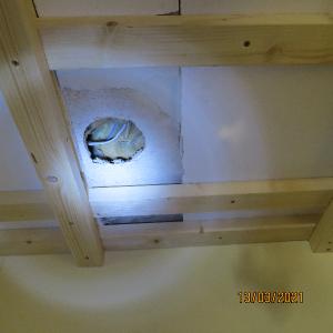 IMG0023web