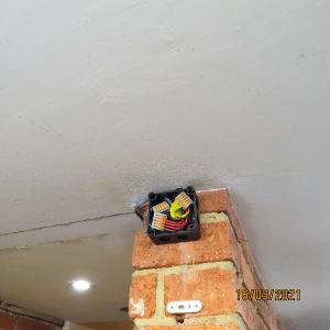 IMG0060web