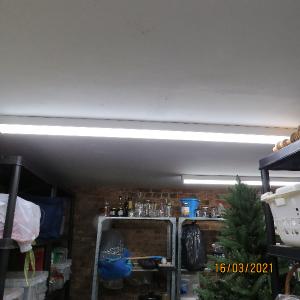 IMG0061web