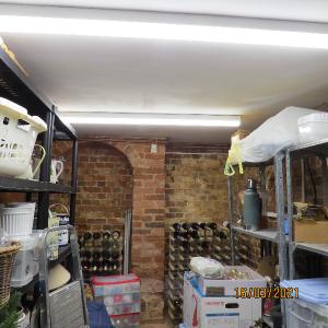 IMG0062web