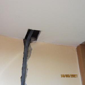 IMG0103web