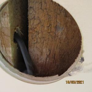 IMG0104web