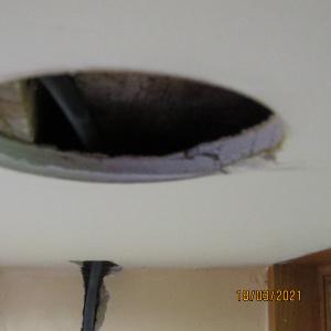 IMG0105web