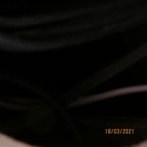 IMG0106web