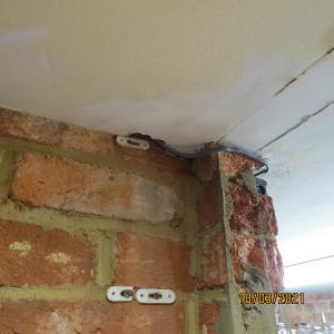 IMG0116web