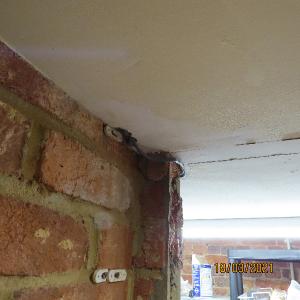 IMG0117web
