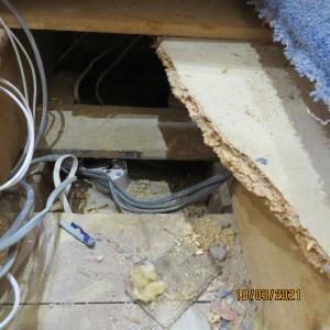 IMG0147web