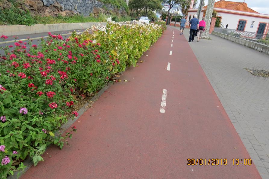 bicyclelane1garnonswilliams